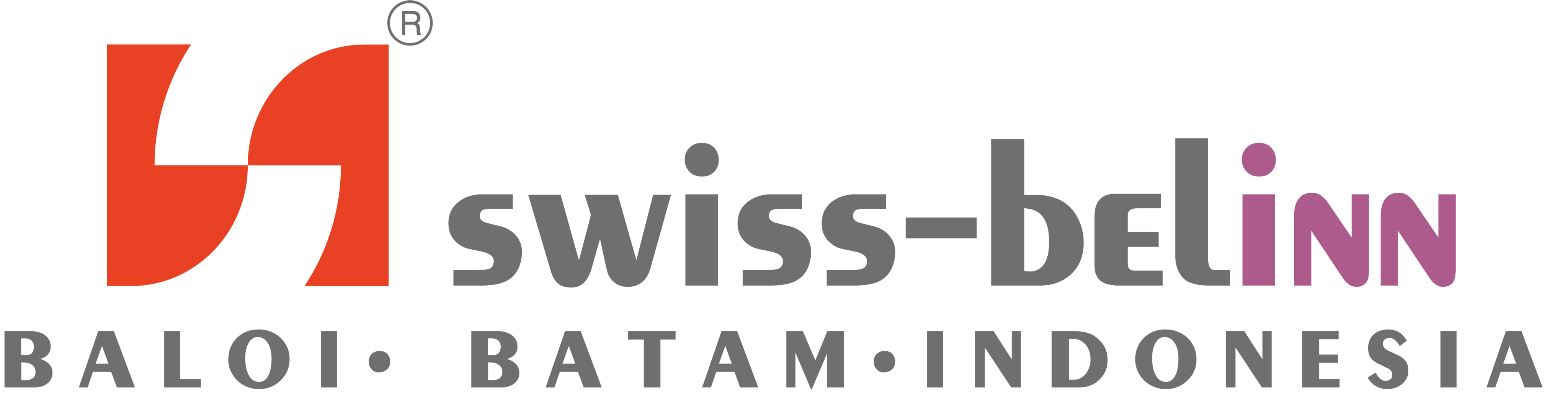 Partner Logo